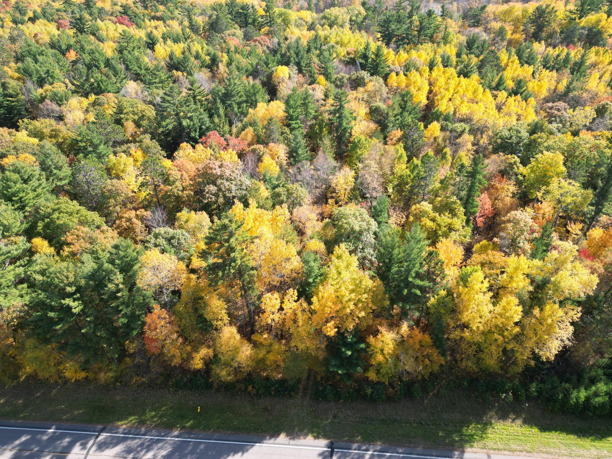Great wooded area.