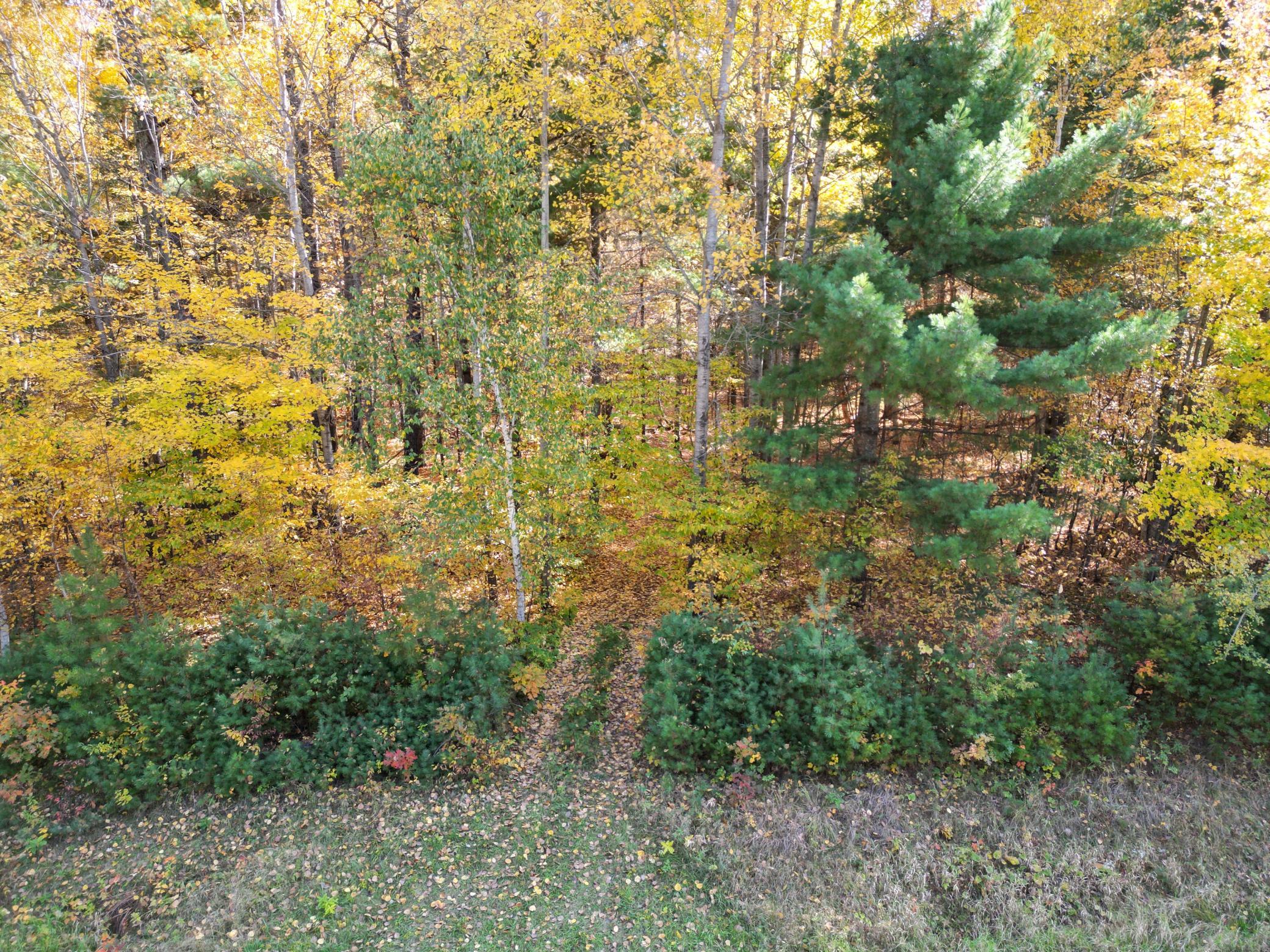 XXXX County Road 19, Merrifield, MN 56465