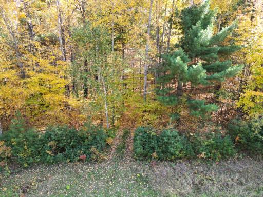 XXXX County Road 19, Merrifield, MN 56465