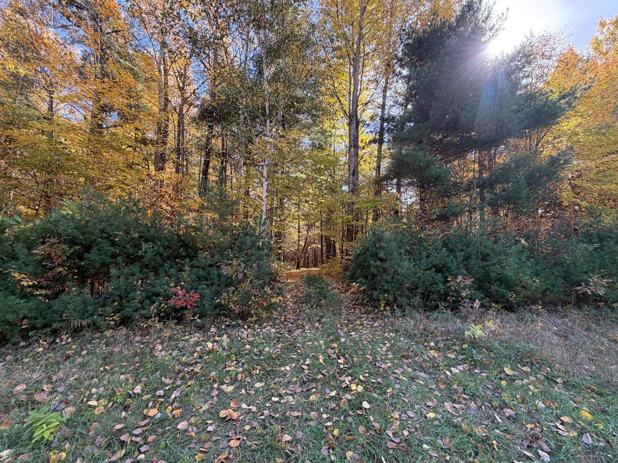 XXXX County Road 19, Merrifield, MN 56465