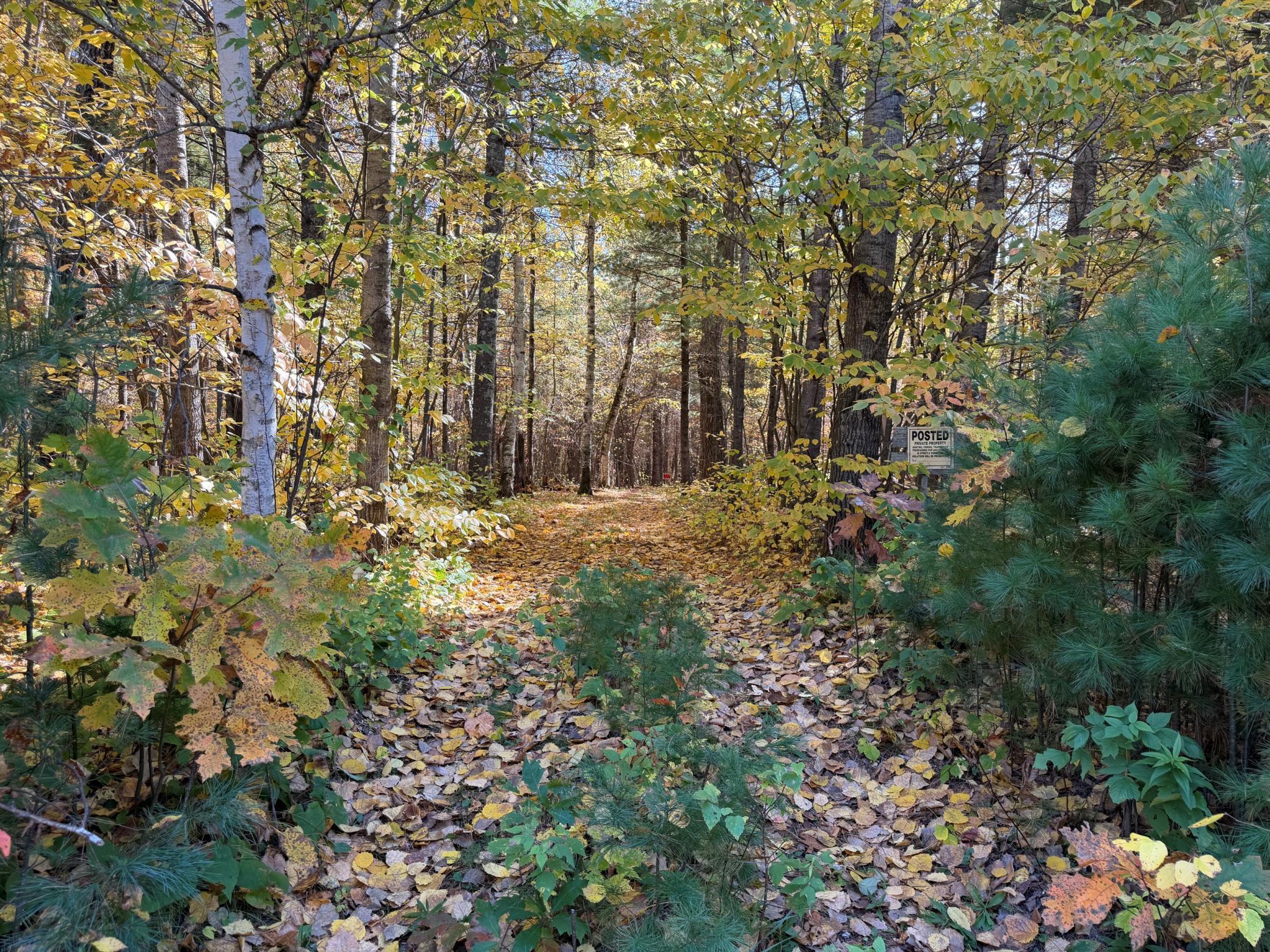 Property photo for XXXX County Road 19, Merrifield, MN 56465