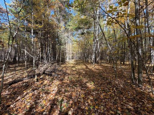 XXXX County Road 19, Merrifield, MN 56465