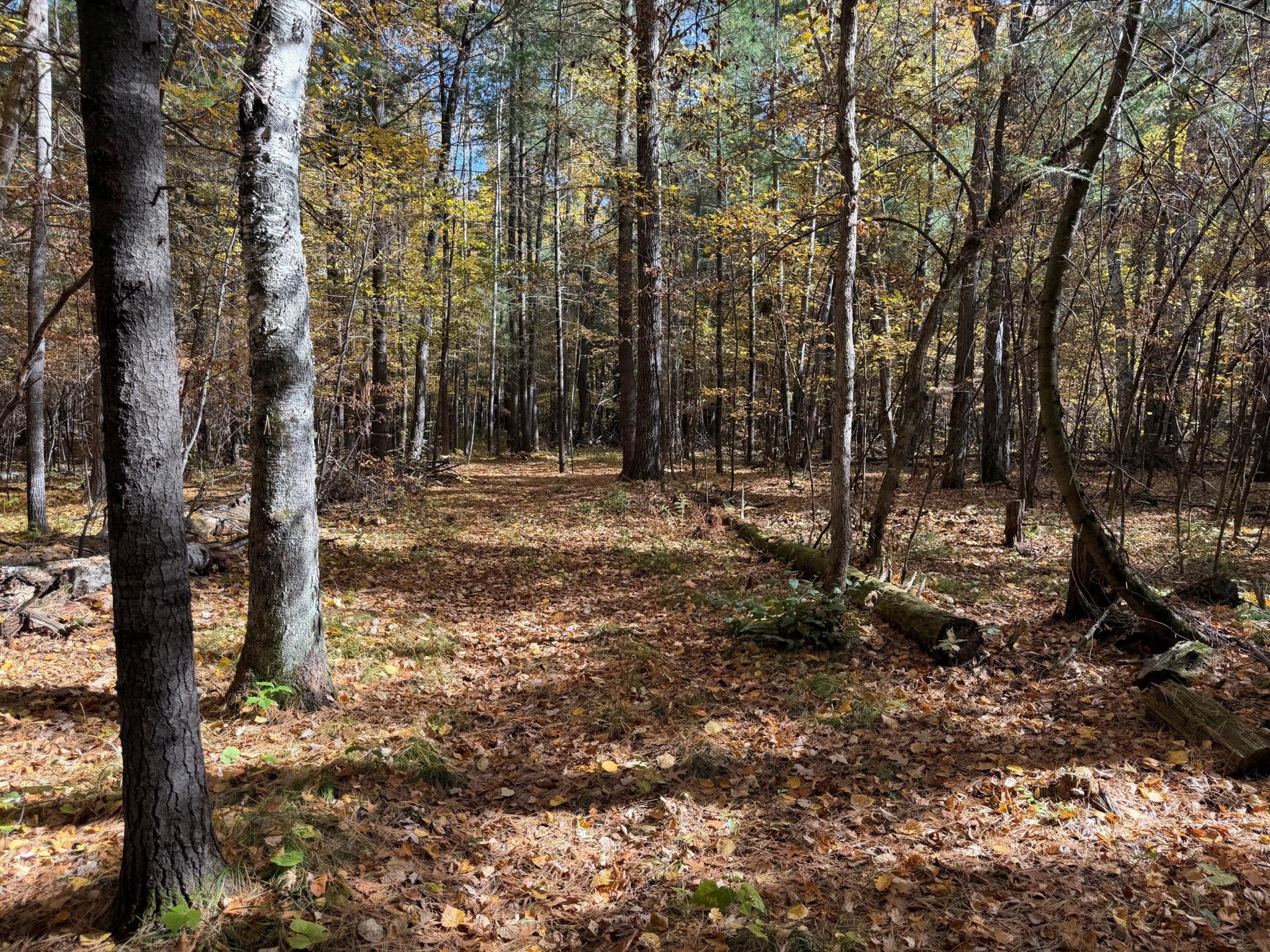 Check out the trails throughout the property.
