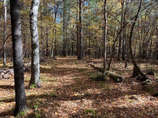 Check out the trails throughout the property.