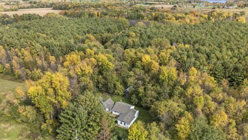 All the surrounding woods for such incredible wildlife and privacy