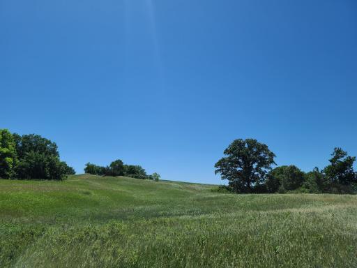 Property view from northernmost parcel.jpg