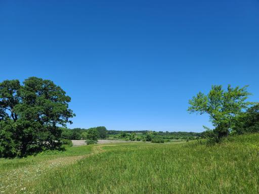 Property view toward northernmost parcel.jpg