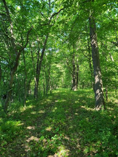 18349 244th Avenue, Paynesville, MN 56362
