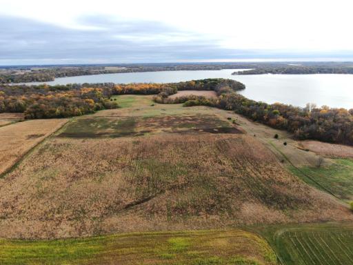 South 40 Looking South Towards Rice Lake.JPG