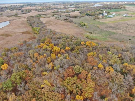 Oak Ridge on Property Looking North From Rice Lake.JPG