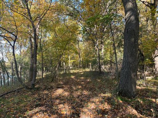 18349 244th Avenue, Paynesville, MN 56362