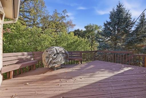 12560 Dorchester Trail, Apple Valley, MN 55124