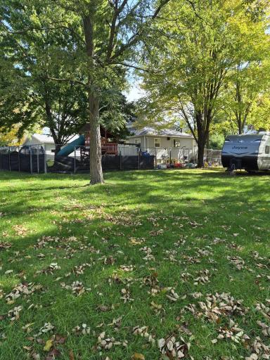 back yard.jpg
