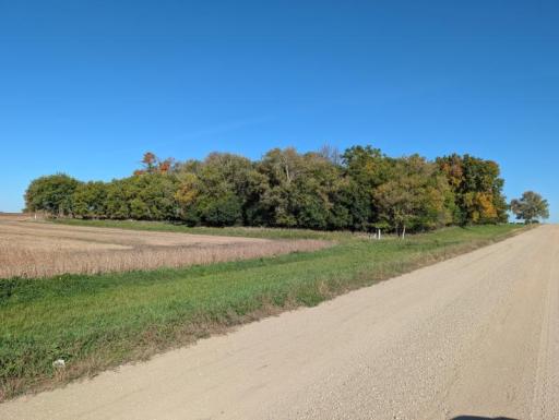 14687 540th Avenue, Wells, MN 56097