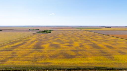 TBD 18 St E, Gardner, ND 58042