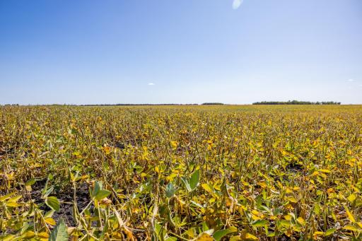 TBD 18 St E, Gardner, ND 58042