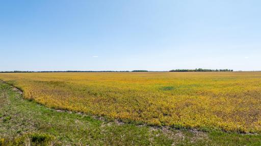 TBD 18 St E, Gardner, ND 58042