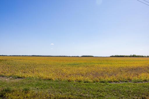 TBD 18 St E, Gardner, ND 58042