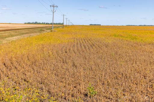 TBD 18 St E, Gardner, ND 58042