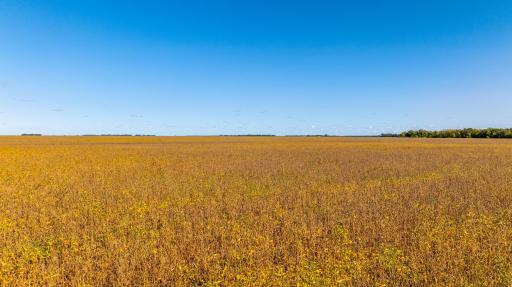 TBD 18 St E, Gardner, ND 58042