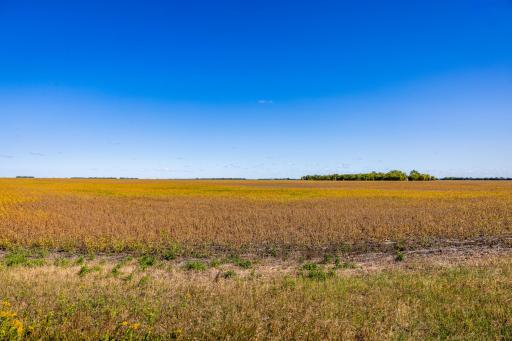 TBD 18 St E, Gardner, ND 58042