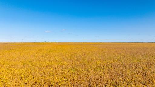 TBD 18 St E, Gardner, ND 58042