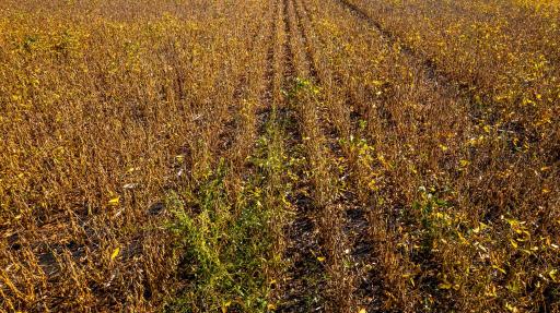 TBD 18 St E, Gardner, ND 58042