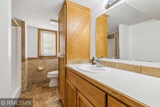 Lower level bathroom