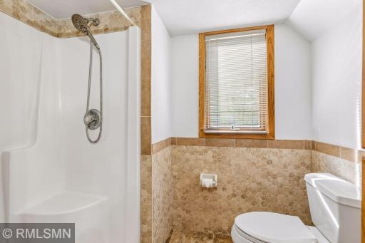 Lower level bathroom