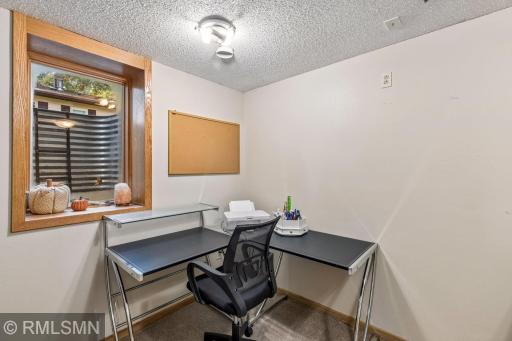 Lower level bedroom or office