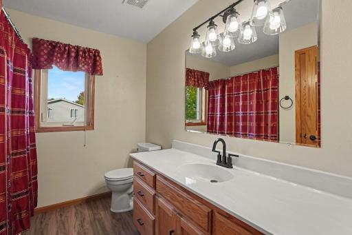 917 Sellards Drive, Dassel, MN 55325