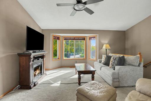 917 Sellards Drive, Dassel, MN 55325