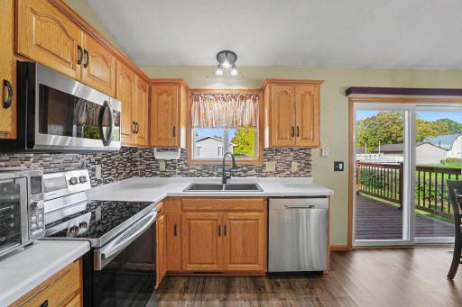 917 Sellards Drive, Dassel, MN 55325