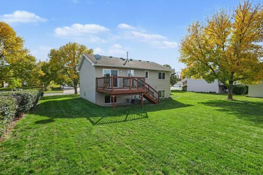 917 Sellards Drive, Dassel, MN 55325