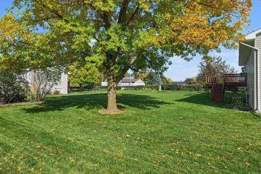 917 Sellards Drive, Dassel, MN 55325