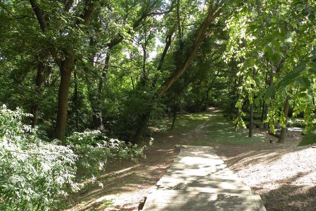 path 8.jpg