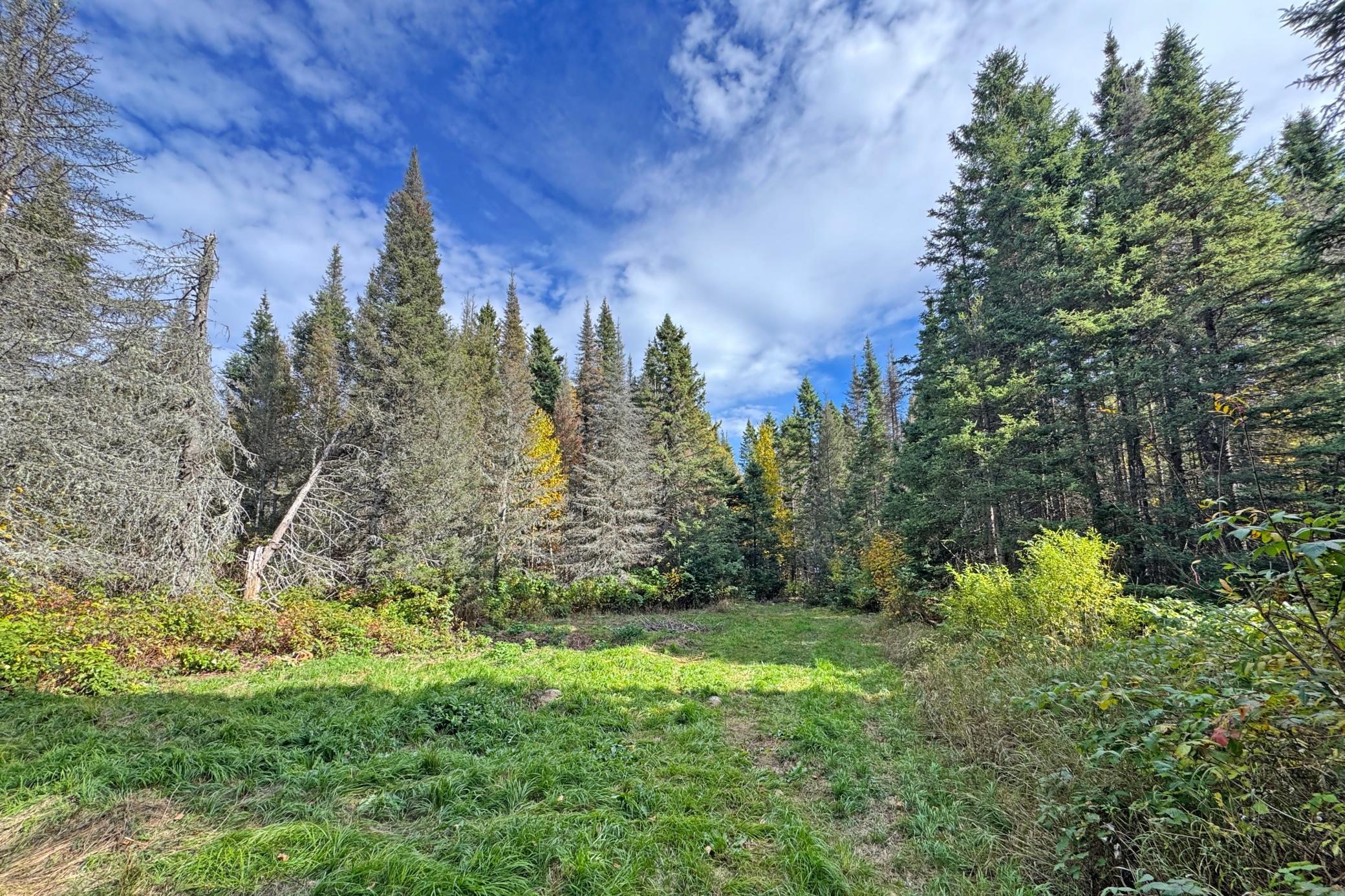 32-Lake-240-Land-16.JPG