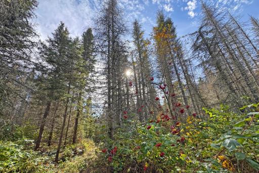 3098 Whyte Road, Two Harbors, MN 55616