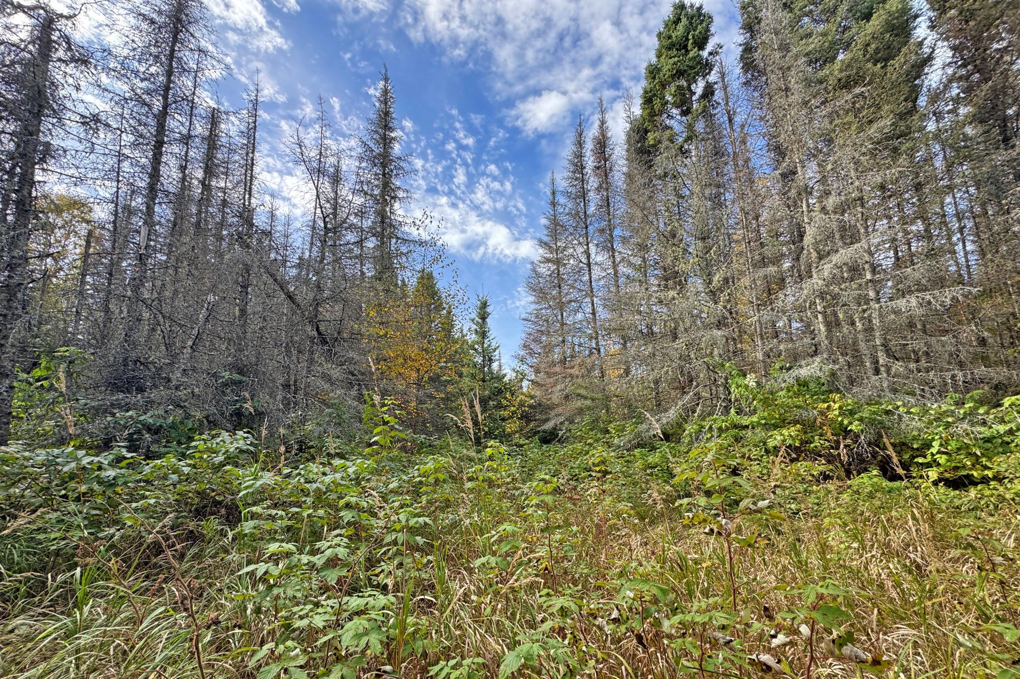 40-Lake-240-Land-24.JPG