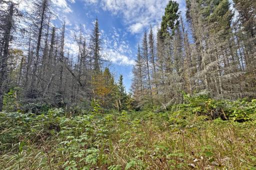 3098 Whyte Road, Two Harbors, MN 55616