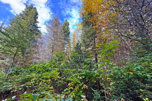 3098 Whyte Road, Two Harbors, MN 55616