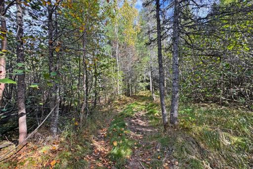 3098 Whyte Road, Two Harbors, MN 55616