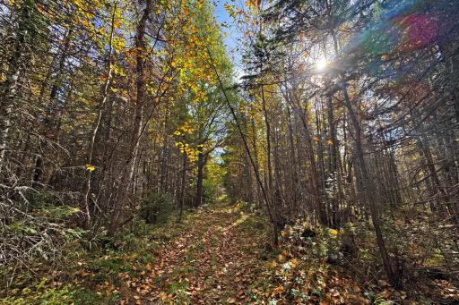 3098 Whyte Road, Two Harbors, MN 55616
