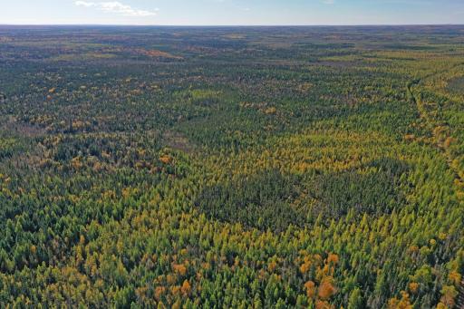 3098 Whyte Road, Two Harbors, MN 55616
