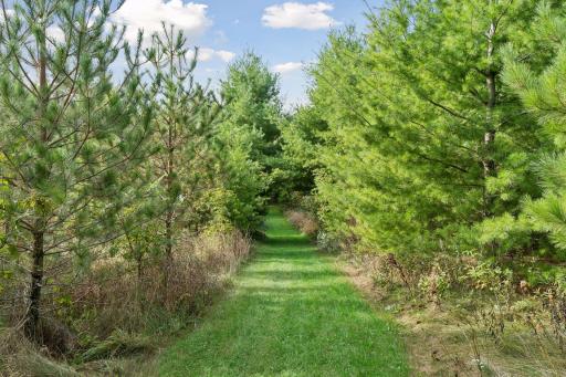 555 Chinnock Lane, River Falls, WI 54022