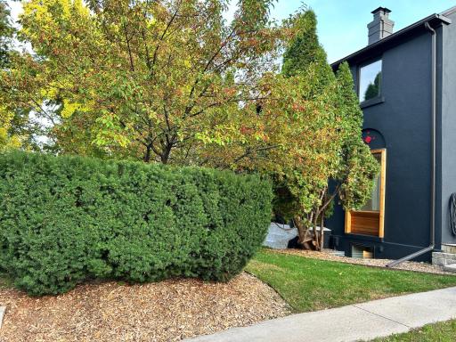 Front yard landscaping offers so much privacy. Look at the window detail, too.