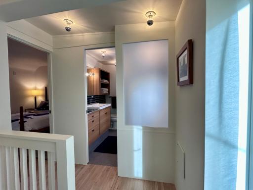 Custom frosted bathroom windows for privacy & light.