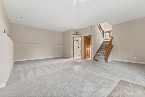 Lower Level Family Room w/ Luxury Carpet & Pad, w/ High Ceilings