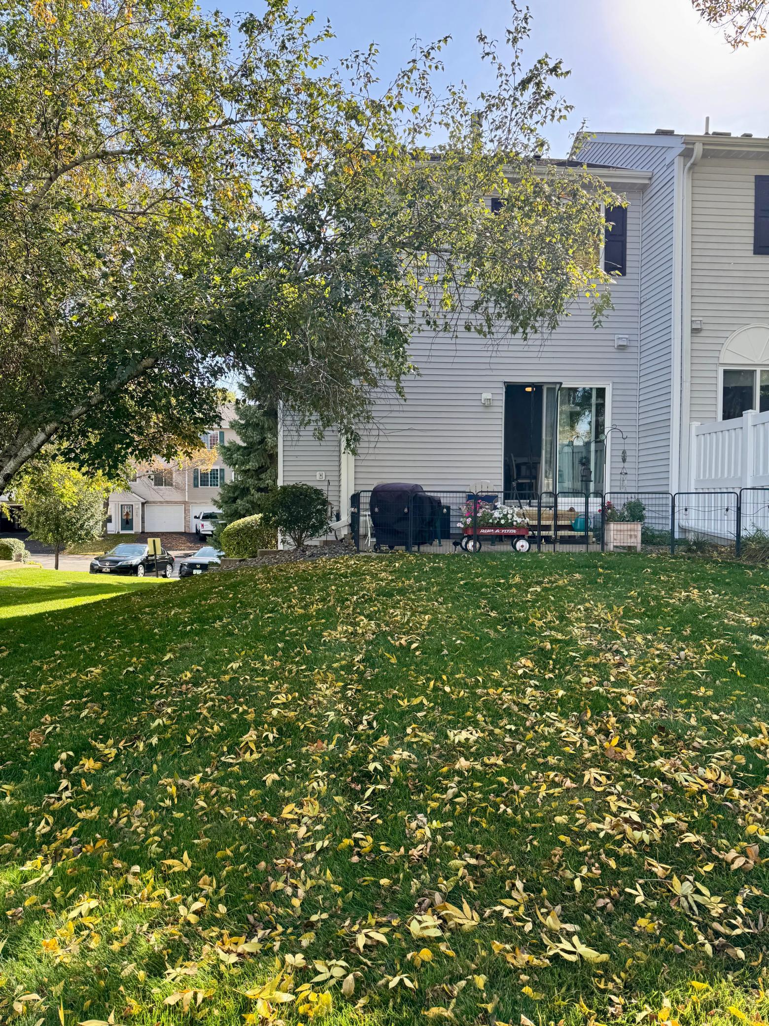 Yard area