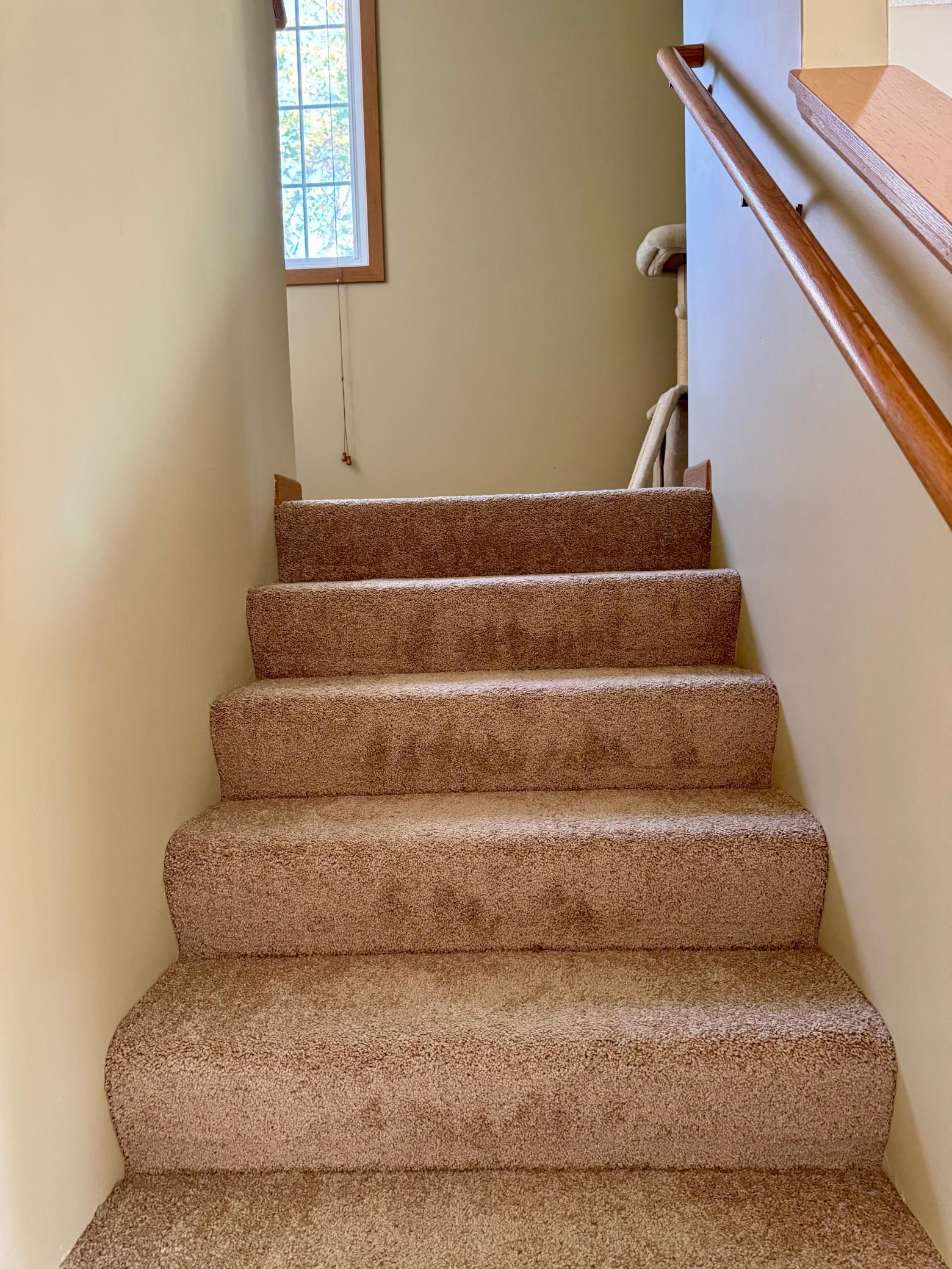 New carpet main to upper